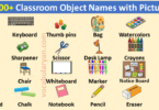 Learn 100+ Classroom Objects with Pictures