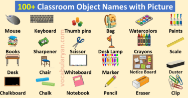 Learn 100+ Classroom Objects with Pictures
