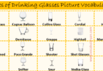 Types of Drinking Glasses Picture Vocabulary