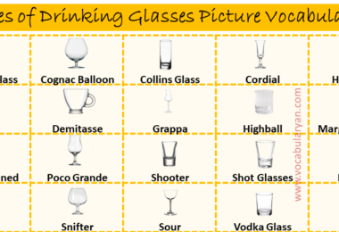 35 Different Types of Drinking Glasses & Their Uses Archives – VocabularyAN