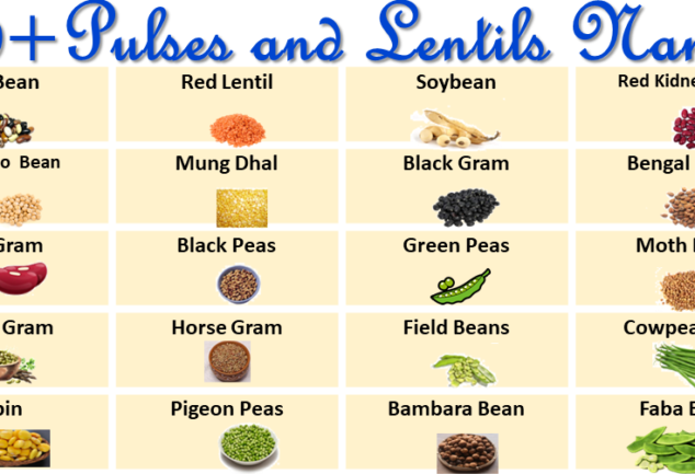 pulses-name-hindi-and-english-archives-vocabularyan