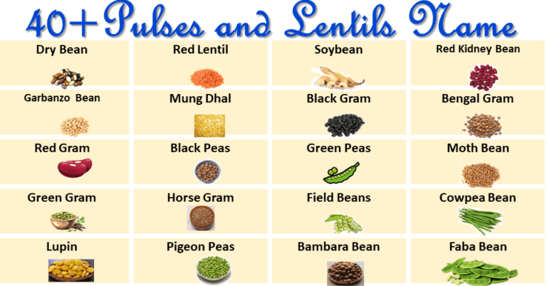 Pulses And Lentils Names Vocabularyan