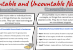 Countable and Uncountable Nouns