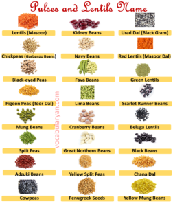 40+ Pulses and Lentils Name in English with Pictures – VocabularyAN