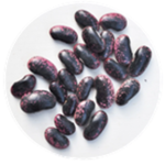 Scarlet Runner Beans