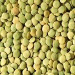 Green Lentils