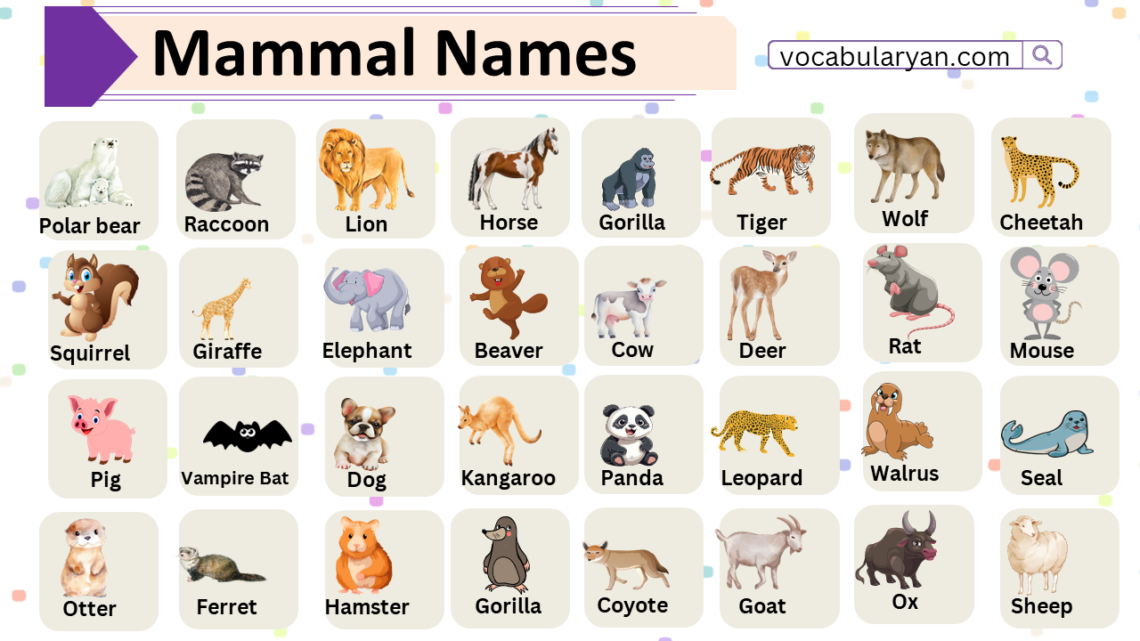 Mammal Names with Picture in English – VocabularyAN