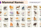 Mammal Names with Picture in English