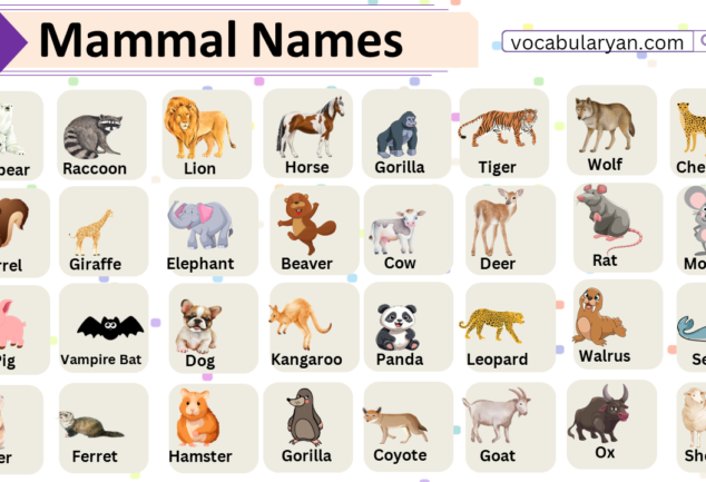 Mammal Names in English Archives – VocabularyAN