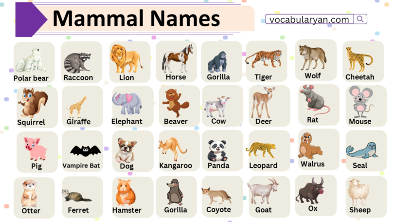 Mammal Names with Picture in English