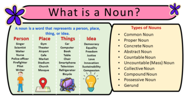 Nouns: Definition & Types With Examples