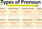 8 Kinds of Pronouns Archives – VocabularyAN