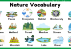 Nature Vocabulary Words List in English
