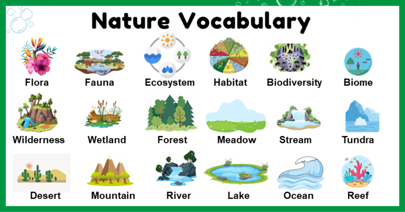 Nature Vocabulary Words List in English
