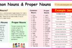 Common Nouns and Proper Nouns Definitions and Examples