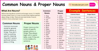 Common Nouns and Proper Nouns Definitions and Examples