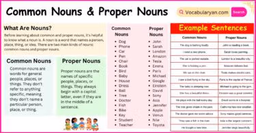 Common Nouns and Proper Nouns Definitions and Examples