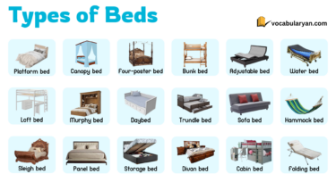 Types of Beds with Names and Pictures