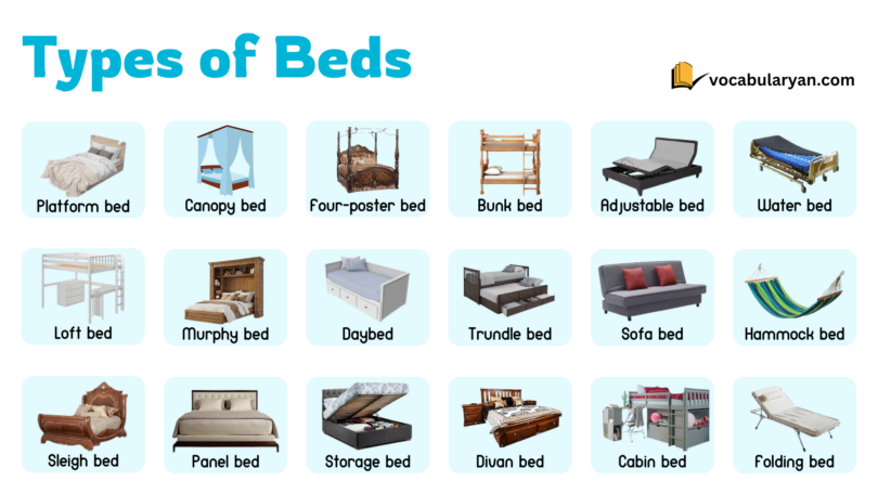 Types of Beds with Names and Pictures