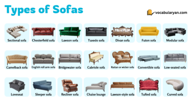 Types of sofas with pictures and names for easy learning