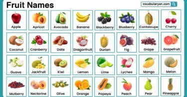 Fruits names in English with pictures for students