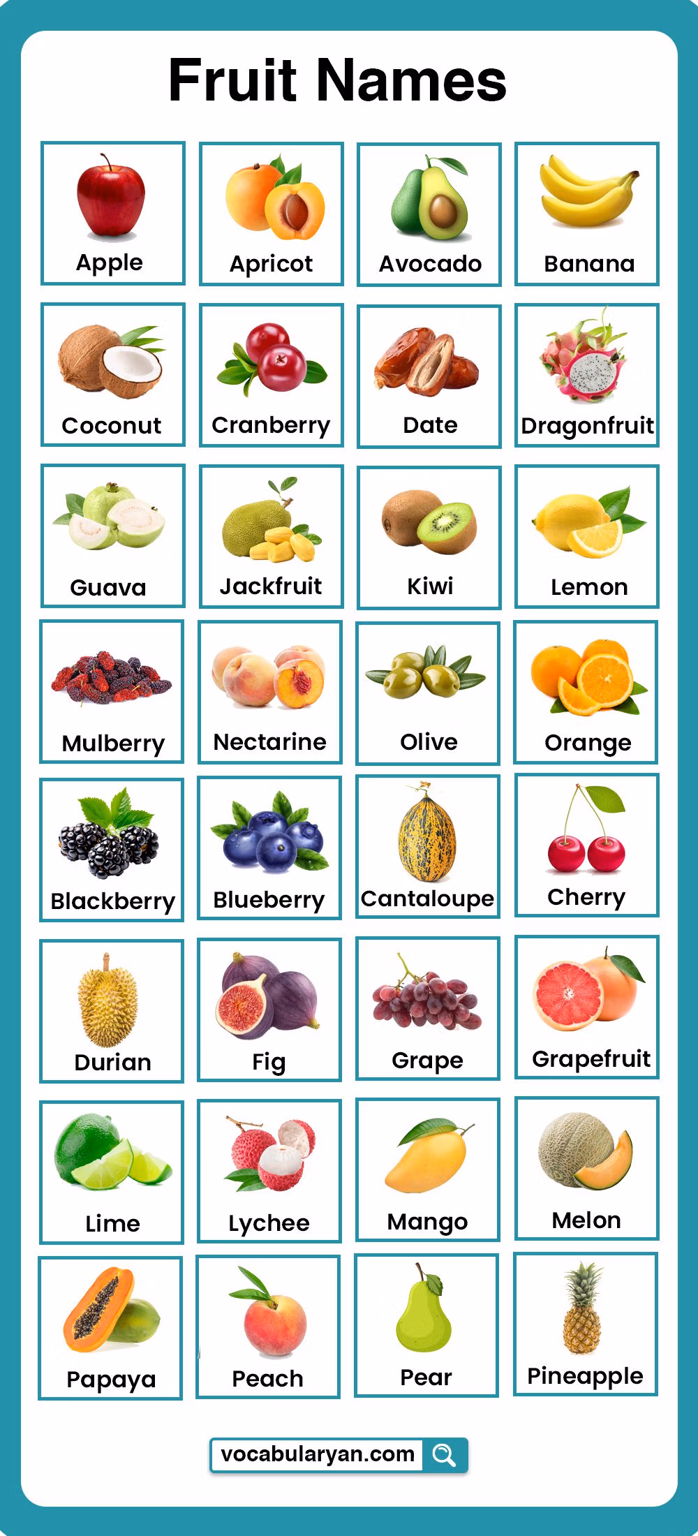 Complete list of fruits names in English with picture reference