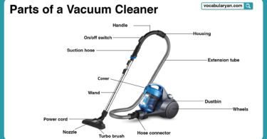 Parts of a vacuum cleaner with names and pictures