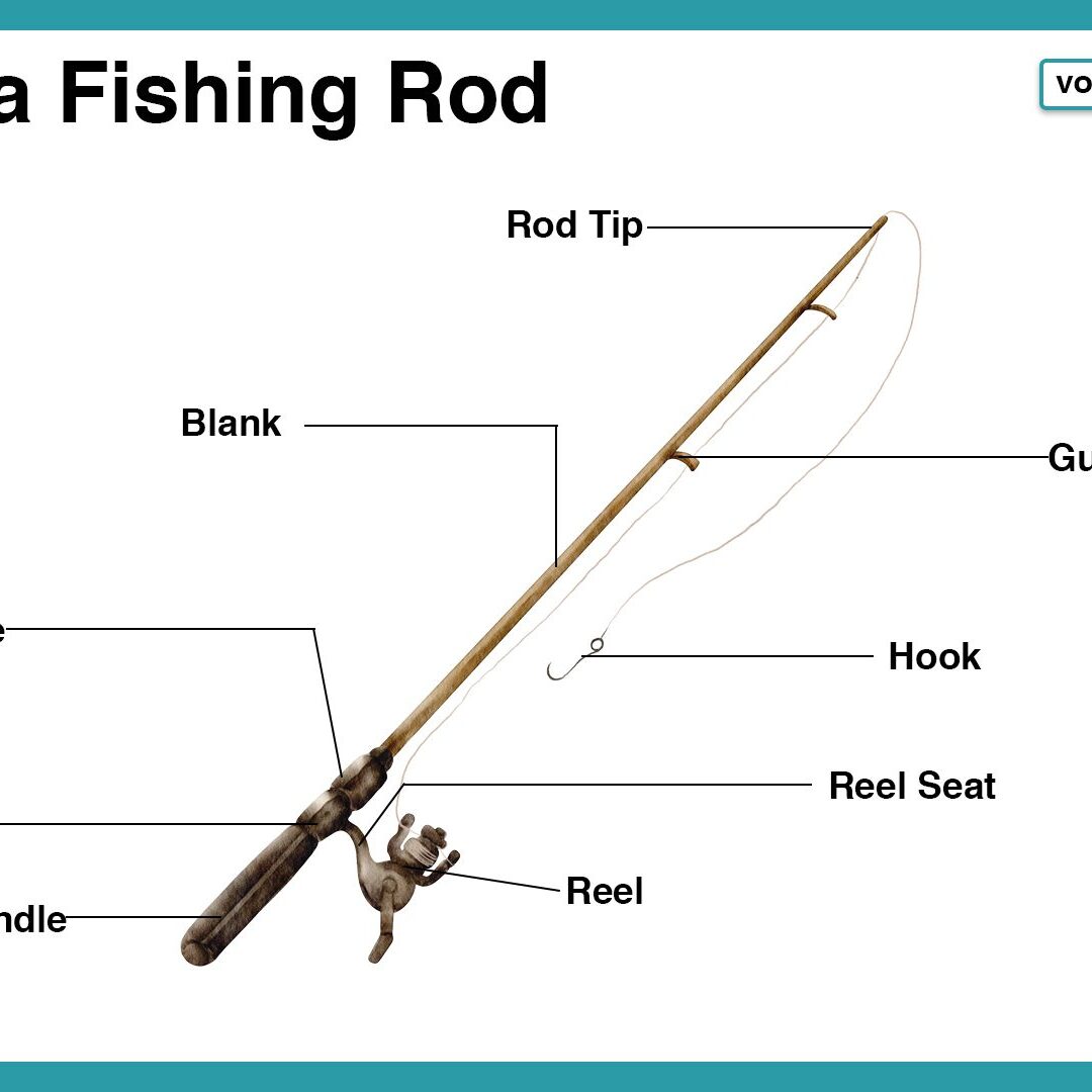 catching turtles with a fishing pole Catching eastern paint and red-eared slider turtles in Maryland