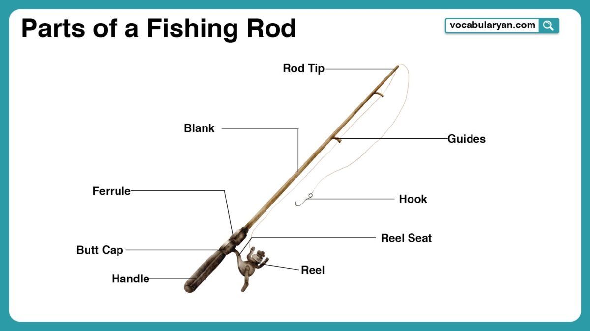 And Line Parts Of A Fly Rod U2013 Guide With Pictures What Are The