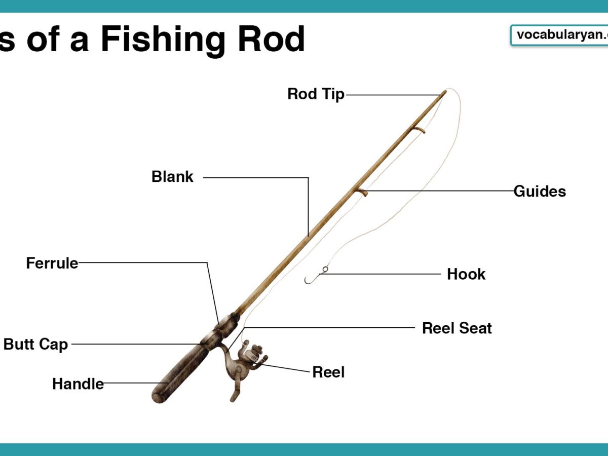 Parts of a Fishing Rod  Learn the Names of Key Components