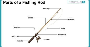 Fishing rod parts labeled for easy learning