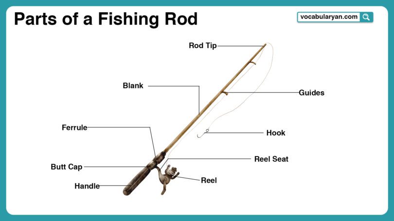 Fishing rod parts labeled for easy learning