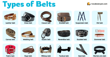 Different types of belts with names in English
