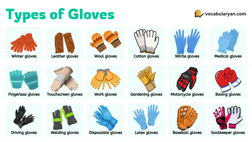 Types of gloves with names and pictures for different uses