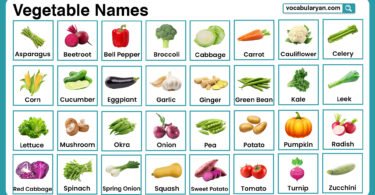 Vegetable names in English with pictures