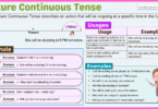 Future continuous tense grammar timeline examples