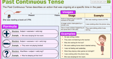 Past Continuous Tense use in grammar sentence