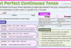 Past Perfect Continuous Tense