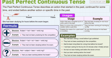 Past Perfect Continuous Tense