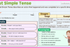 Past Simple Tense with examples