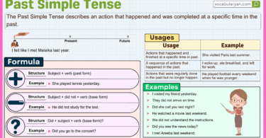 Past Simple Tense with examples