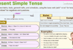 Present Simple Tense usage in grammar